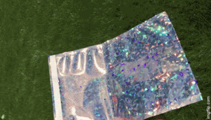 Holographic Mail Bags