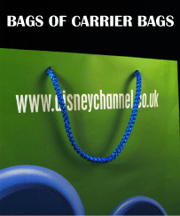 Image of a paper bag with blue rope handles